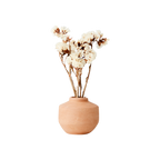 THEO Urna, K, Natur