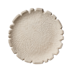 ATHENA Fat, Elfenben 4