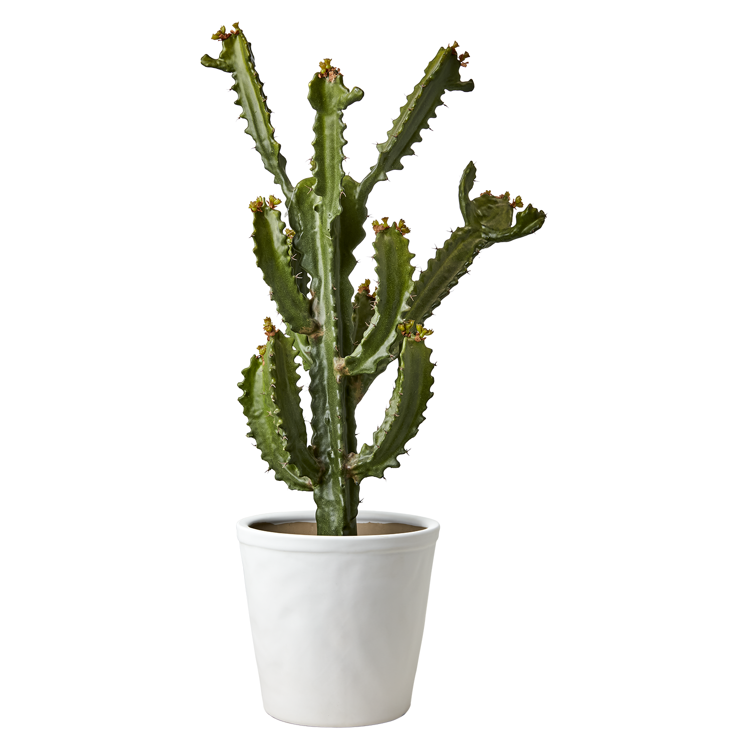 COCOS Kruka XL, Vit