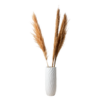 COCOS Urna M, Vit 8
