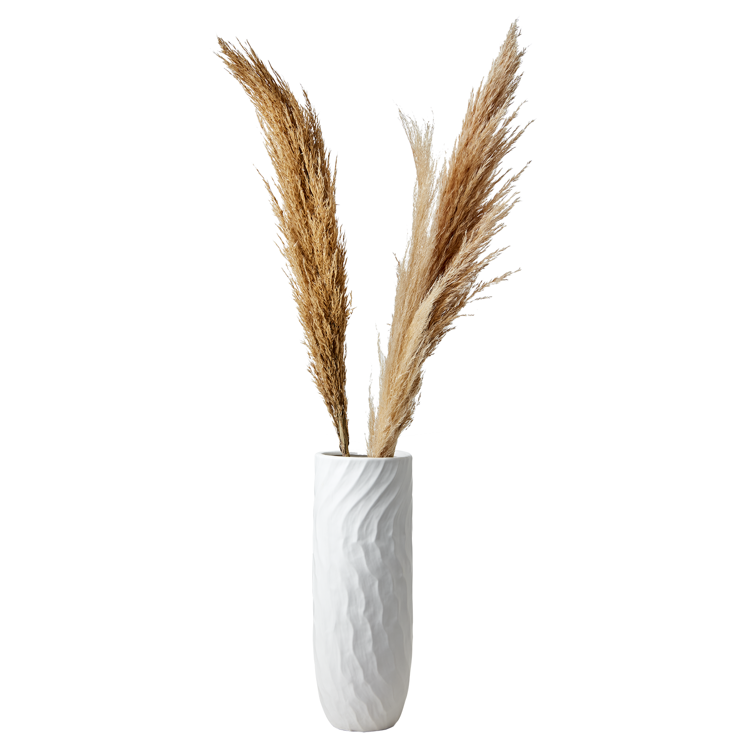 COCOS Urna L, Vit 6