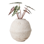 CREAM Kruka, Elfenben 2