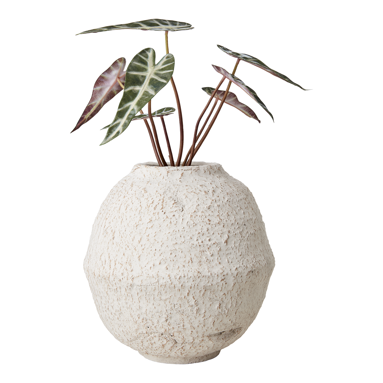 CREAM Kruka, Elfenben 2