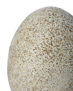 VIGGO Dekoration S, Beige 3