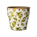 OLIVE Kruka, Vit/grön