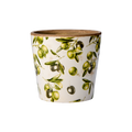 OLIVE Kruka, Vit/grön 9