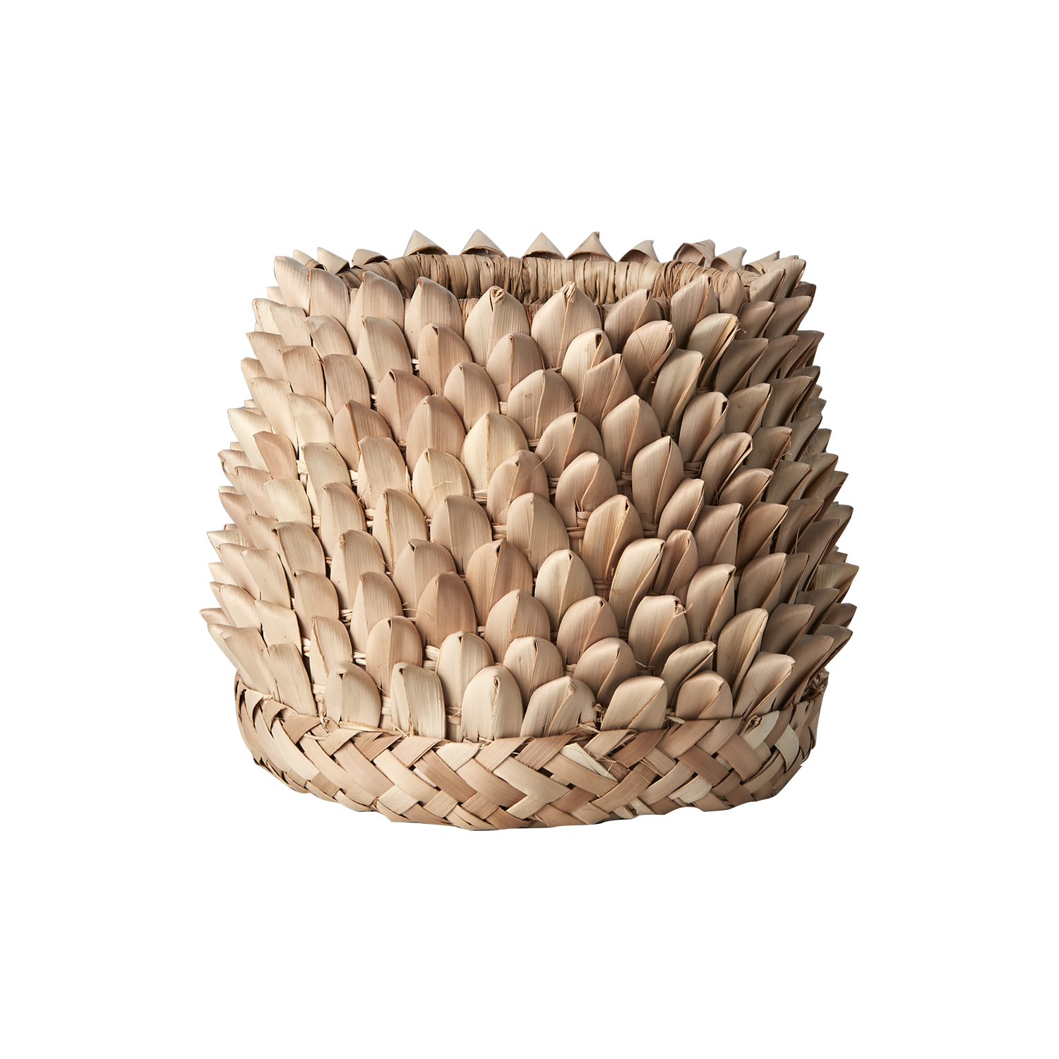 SPIKY Kruka, Natur 2