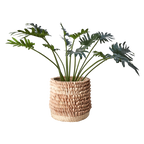 SPIKY Kruka, Natur 9