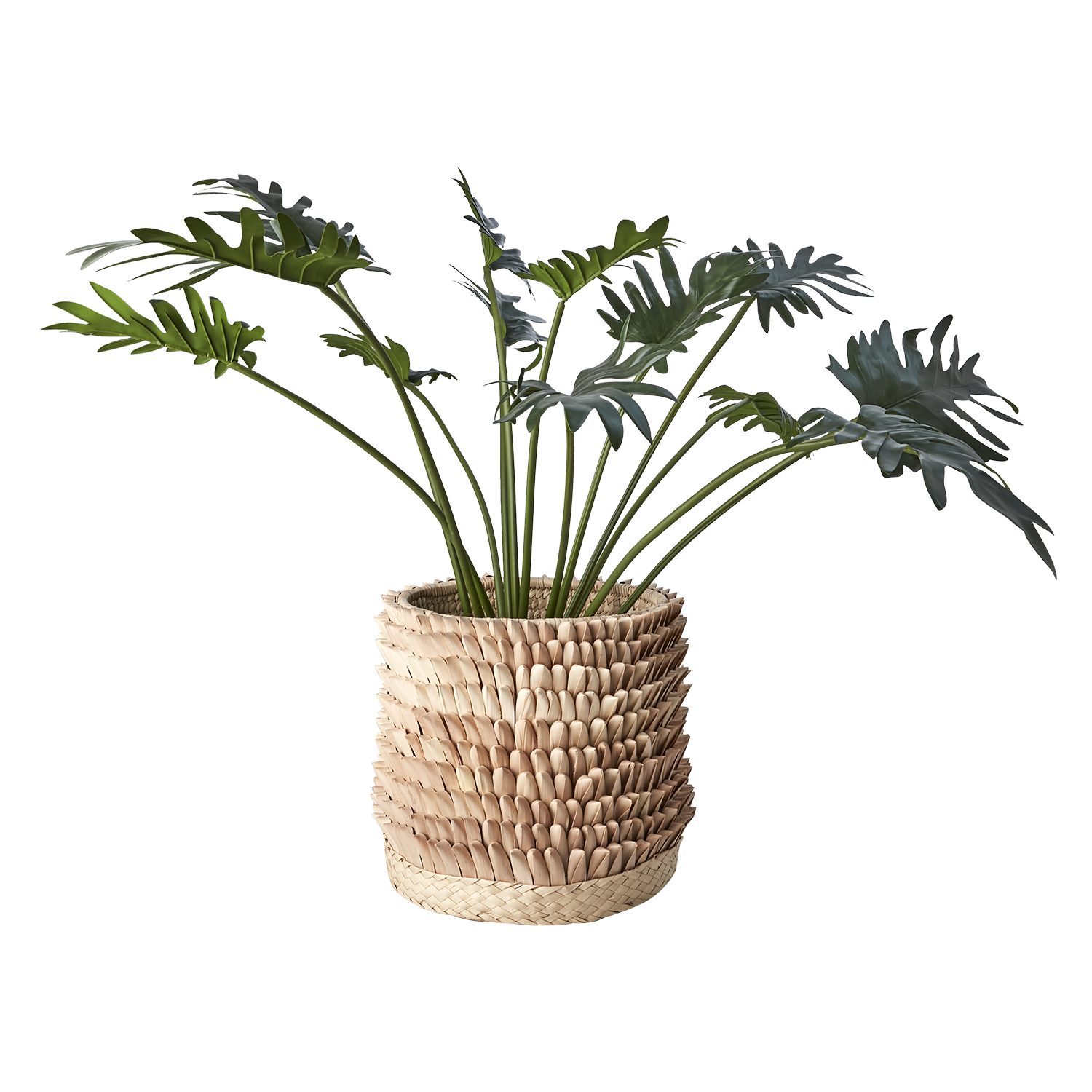 SPIKY Kruka, Natur 9