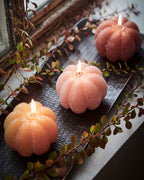 DECO Pumpaljus, Kola 2