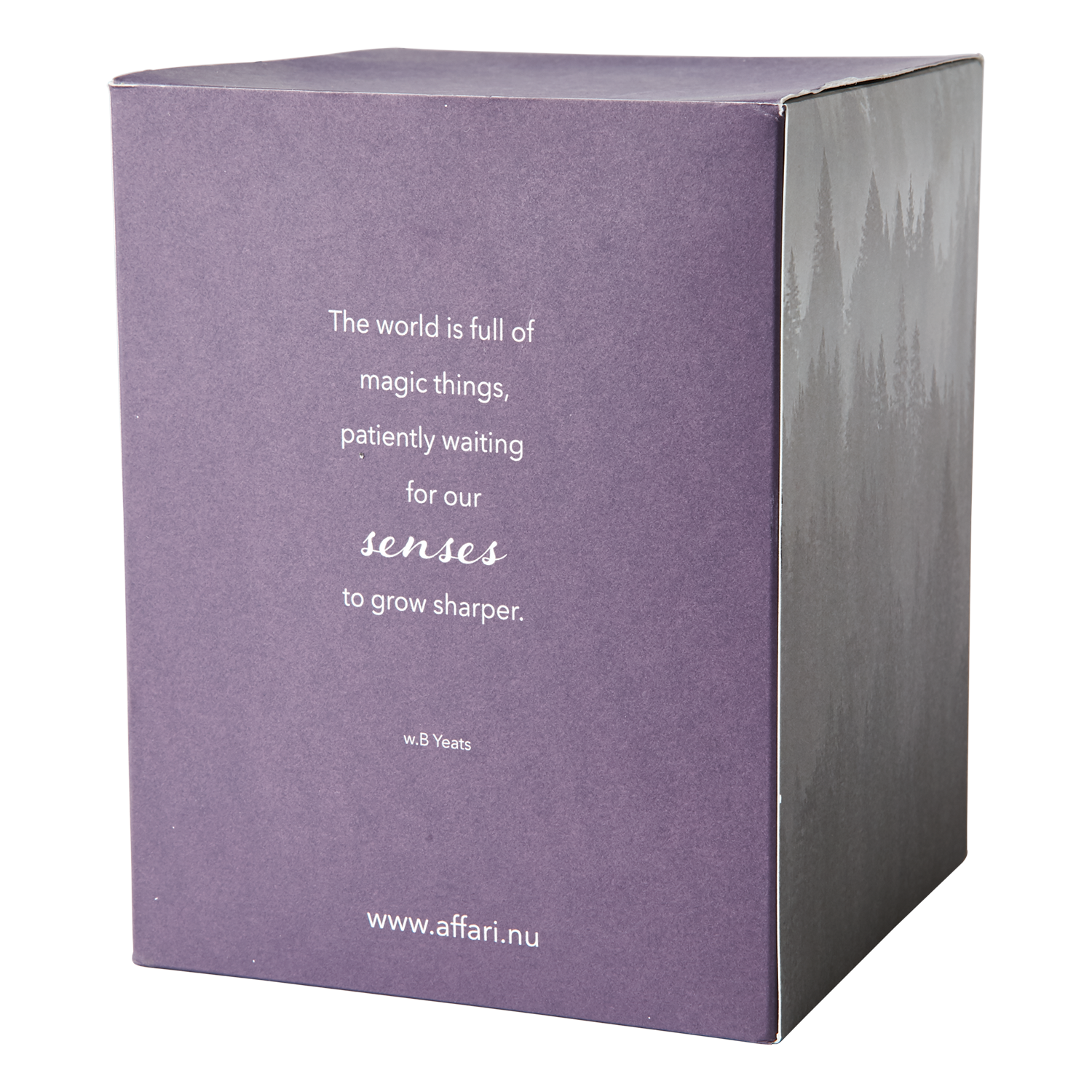 SENSE Doftljus med kupa Green tea & hyacinth, Lila 2