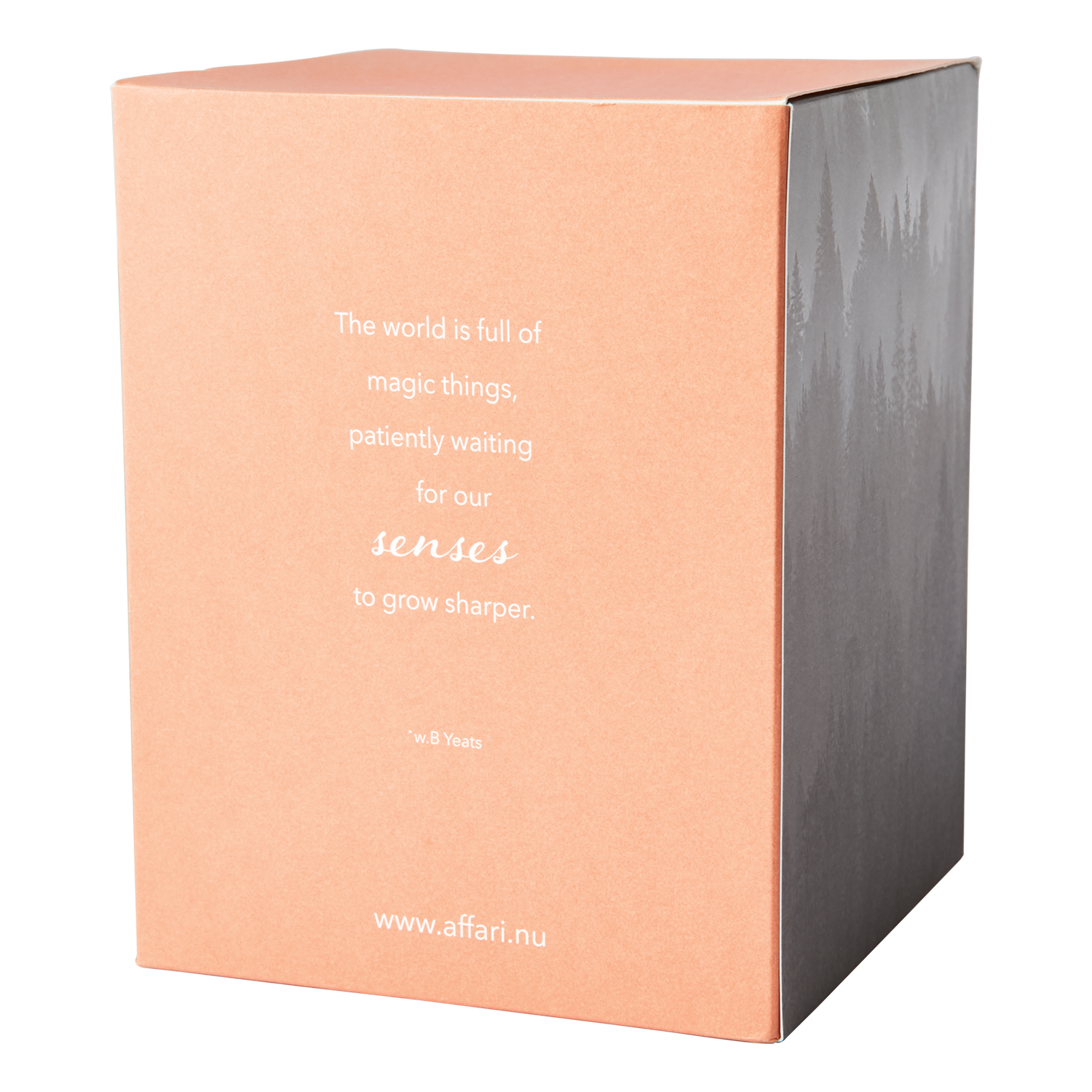 SENSE Doftljus med kupa Blood orange, Orange 2