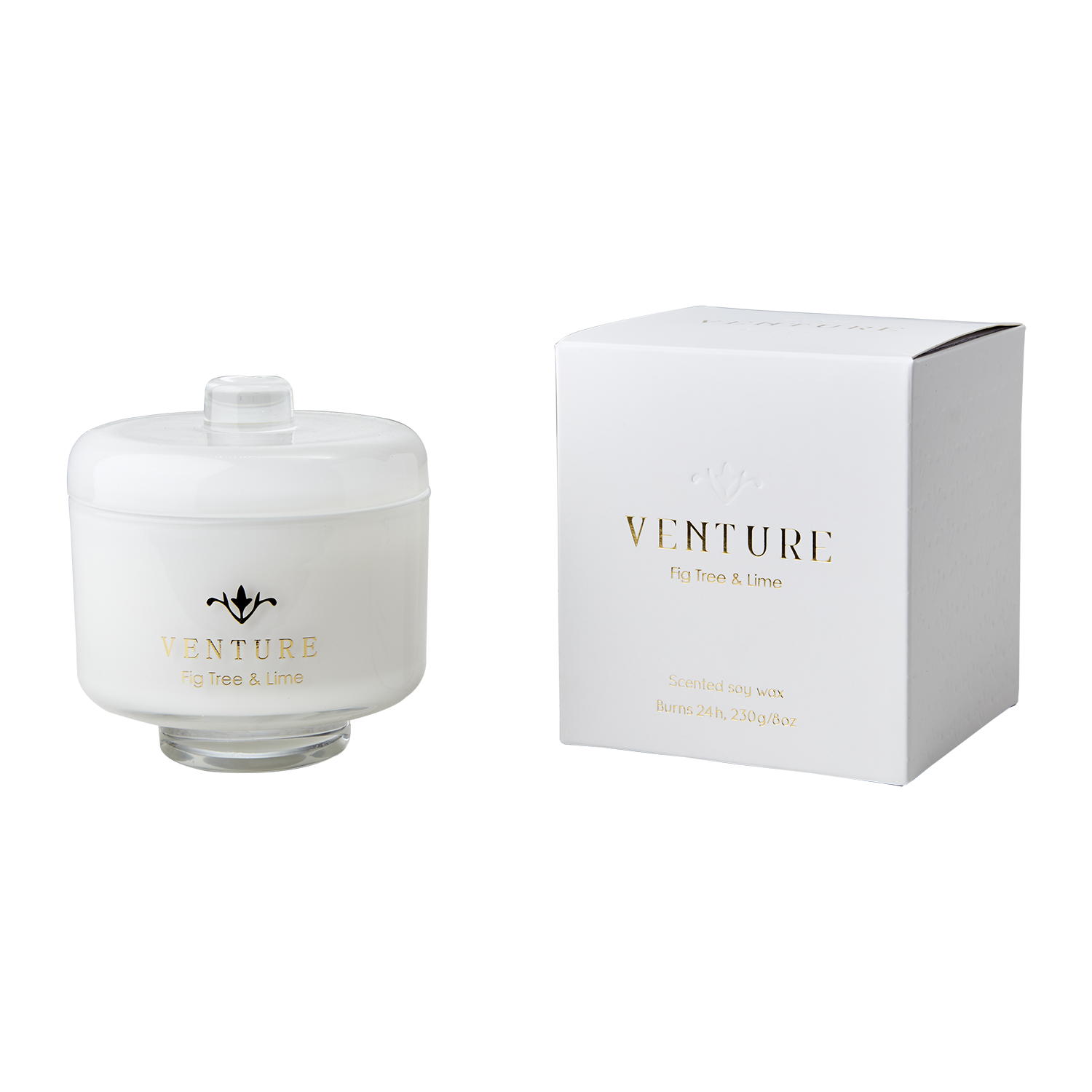 VENTURE Doftljus Fig tree & lime, Vit