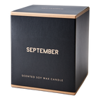 CALENDAR Doftljus Orange & mandarin, Svart 4
