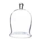 BELLA Glaskupa i klart munblåst glas med hög klockform och ögleformad knopp, Ø10 cm och 16 cm hög