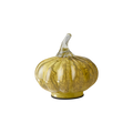 PUMPKIN Dekoration S, Gul