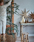 PALLE Pall, 2, Natur