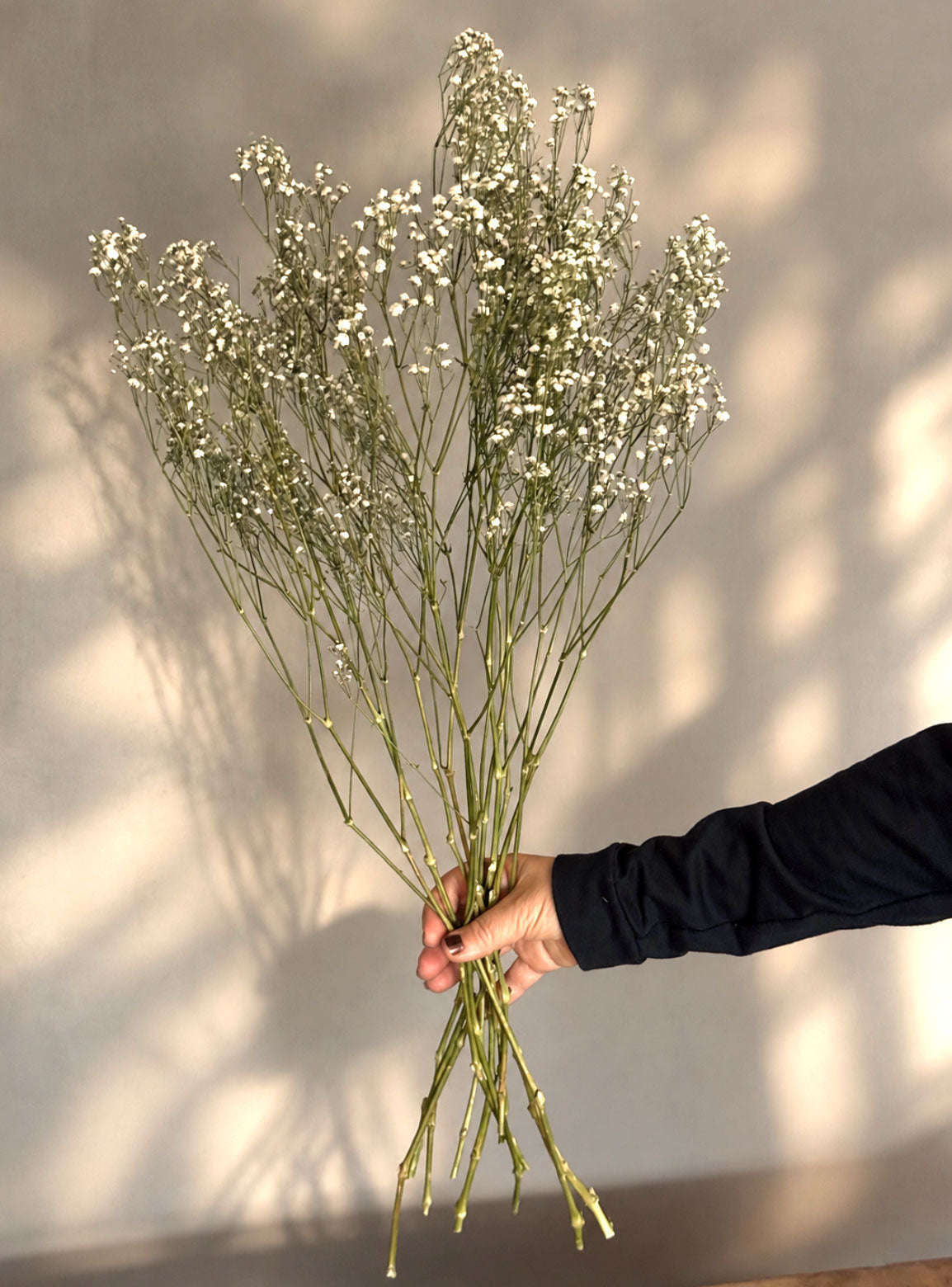 Torkad Brudslöja - Gypsophila, vit