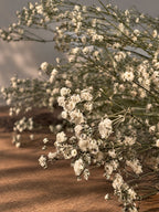 Torkad Brudslöja - Gypsophila, vit