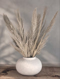Torkad Palmfiber (Date Jhat)