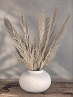 Torkad Palmfiber (Date Jhat)