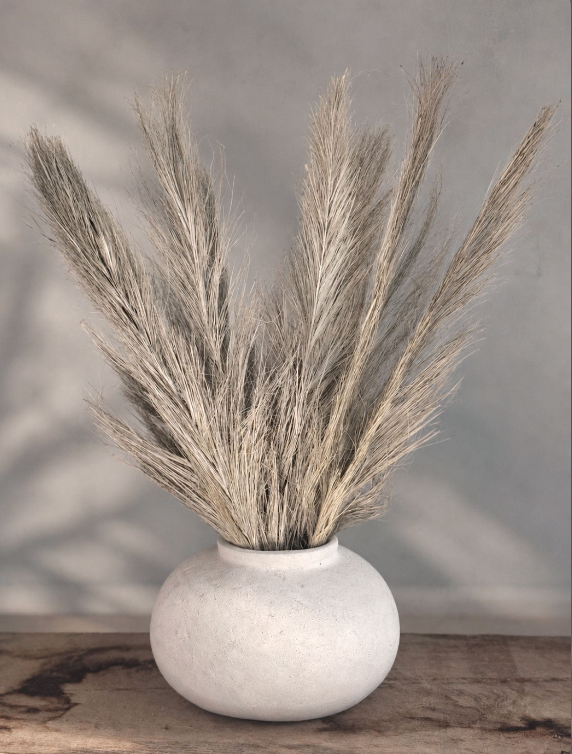 Torkad Palmfiber (Date Jhat)