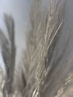Torkad Palmfiber (Date Jhat)