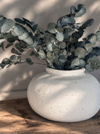 Konserverad Eucalyptus Espiral Grön Småbladig