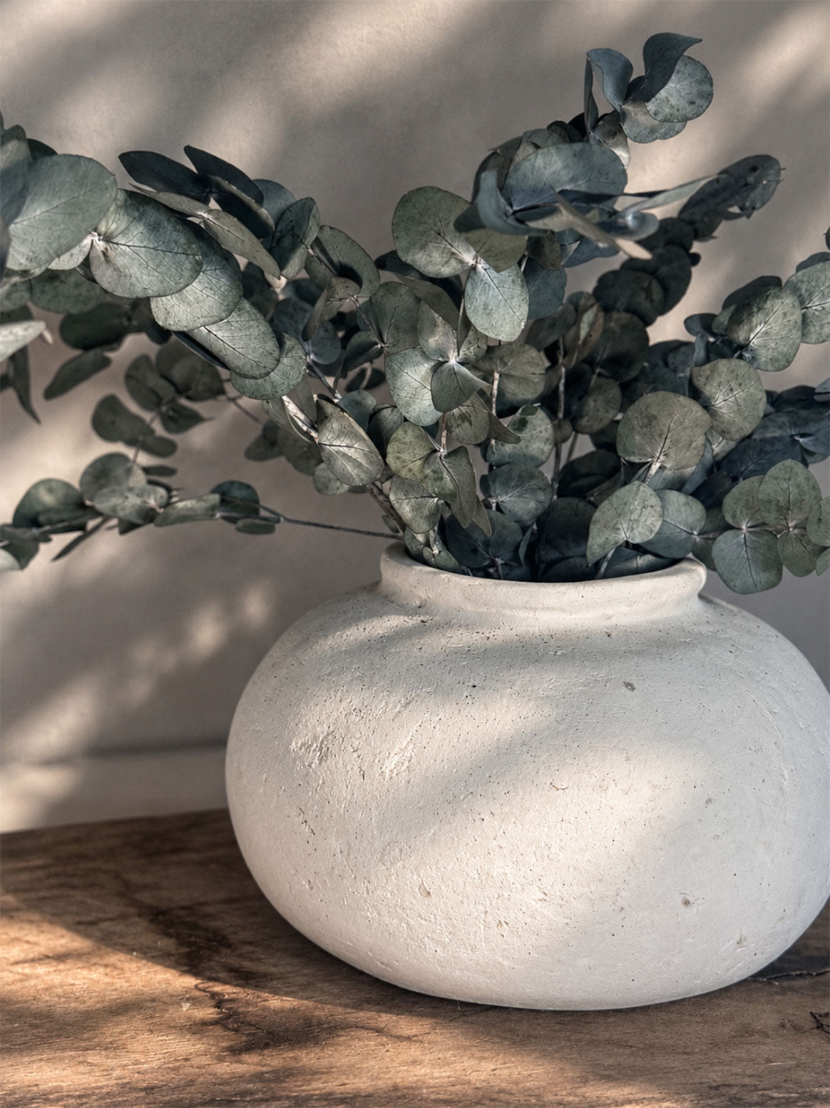 Konserverad Eucalyptus Espiral Grön Småbladig