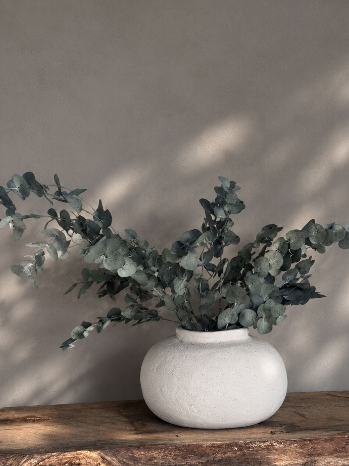 Konserverad Eucalyptus Espiral Grön Småbladig