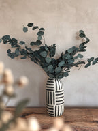 Konserverad Eucalyptus, storbladig