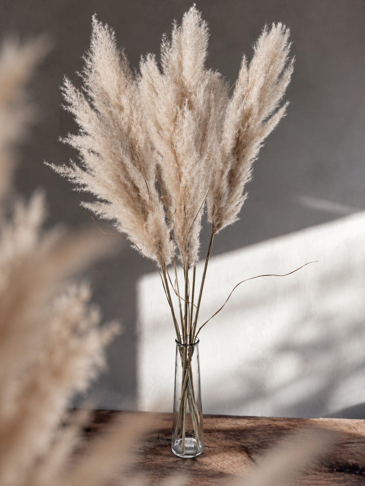 Pampasgräs - Cortaderia Plum 115 cm