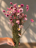 Torkad Roseternell rosa