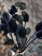 Torkad Teasel, blå