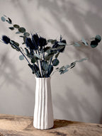 Torkad Teasel, blå