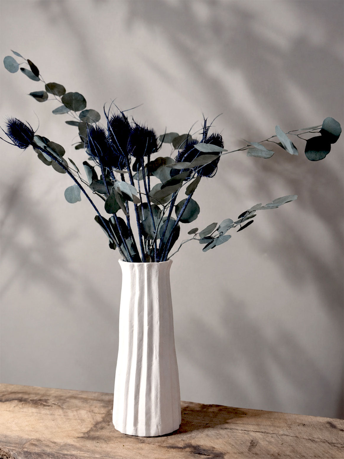 Torkad Teasel, blå