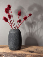 Torkad Teasel, Röd