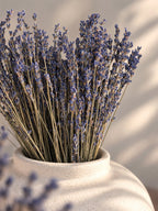 Torkad Lavender