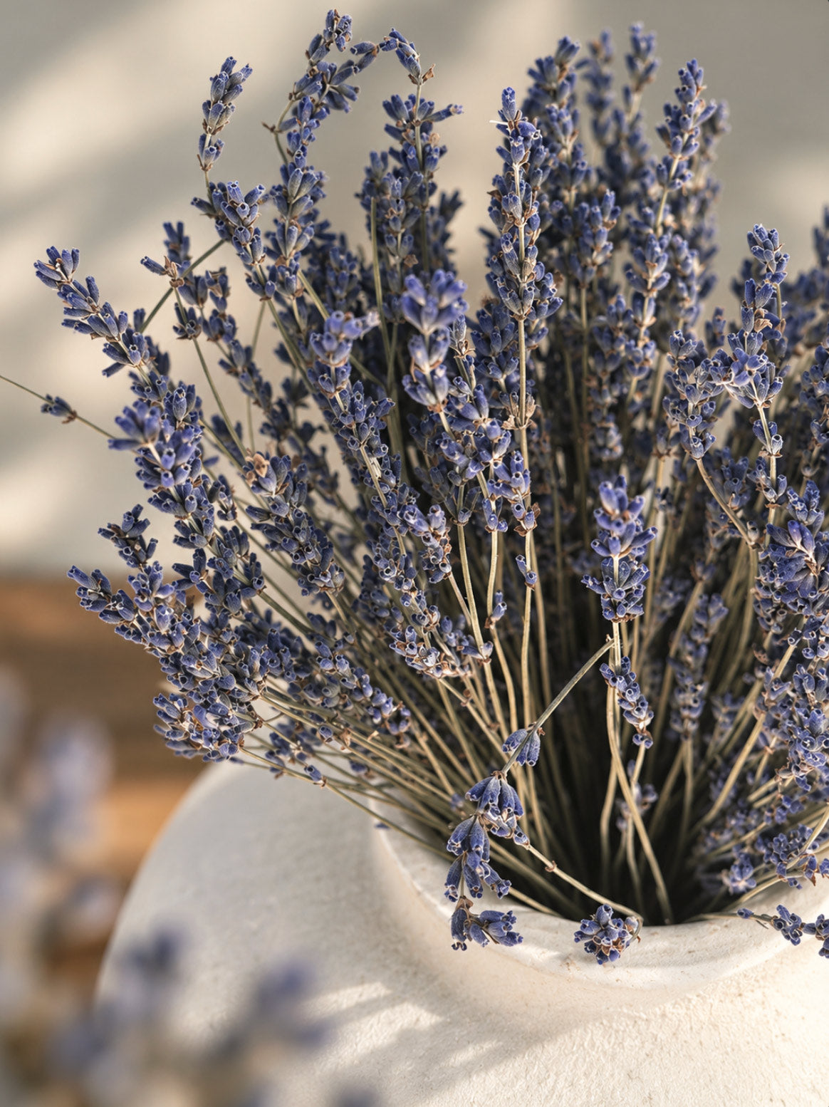 Torkad Lavender