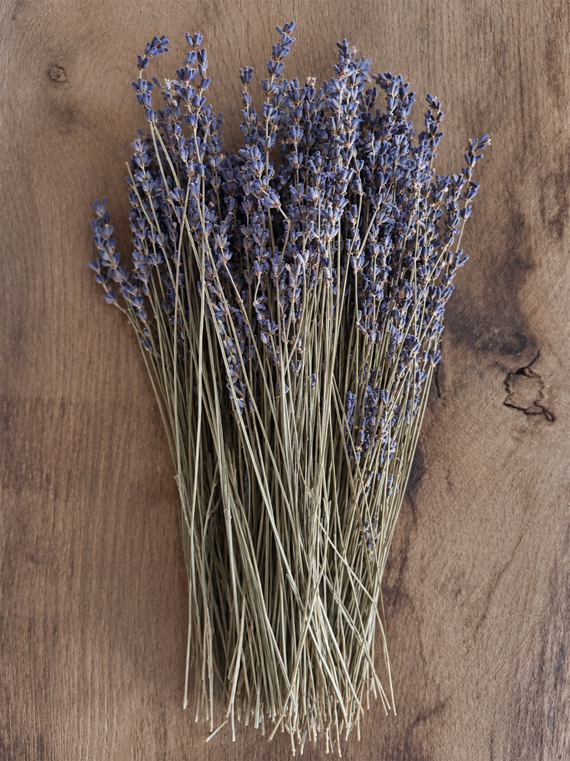Torkad Lavender
