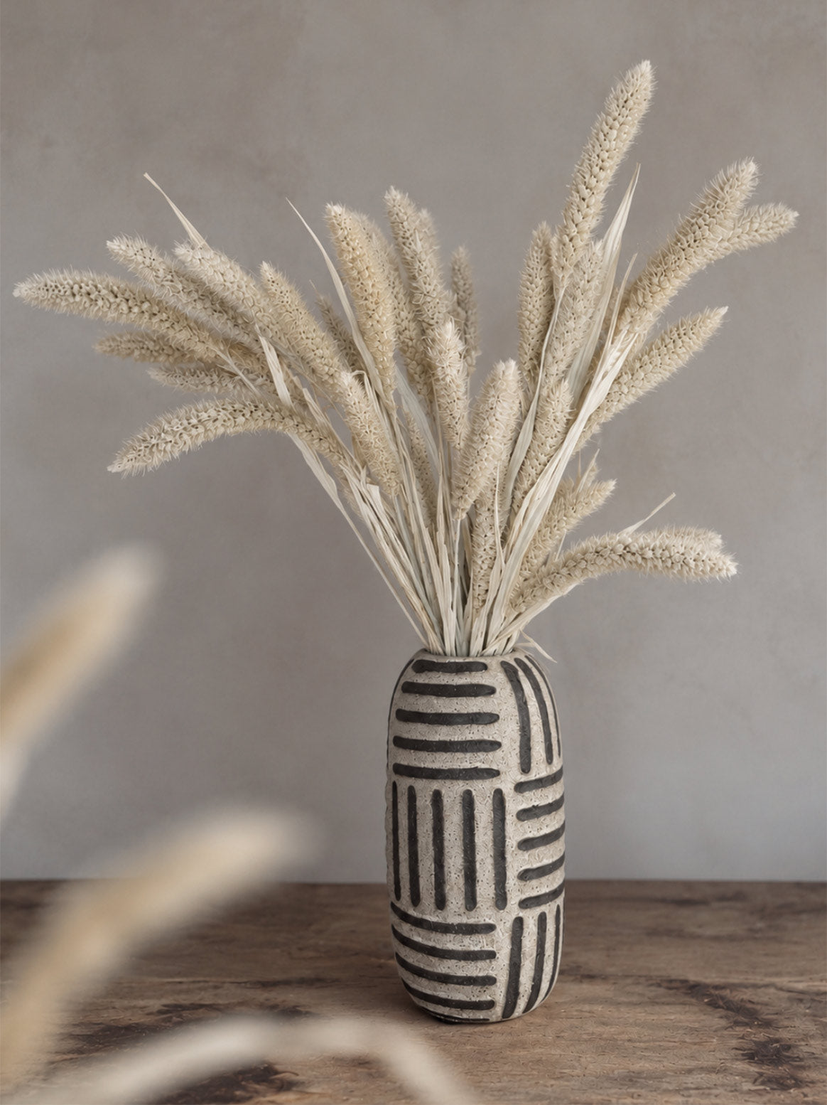 Torkad Setaria